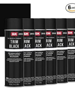 SEM 39143 Trim Black Aerosol (6)